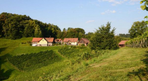 Гостиница Weingut & Buschenschank Pölzl  Гроскляйн